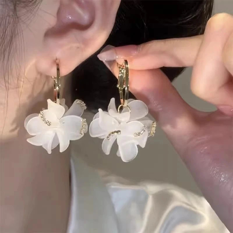 Pendant Earrings